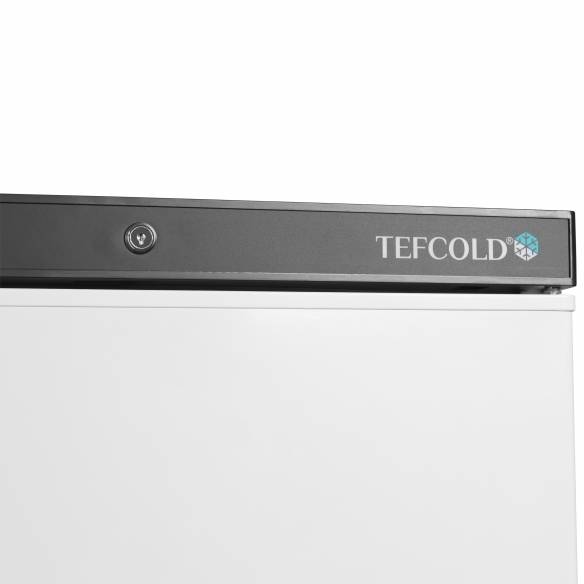 Congelador de almacenamiento TEFCOLD UF200V